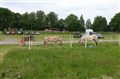 DSC06545.JPG