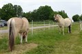 DSC06546.JPG