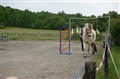 DSC06576.JPG