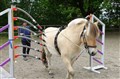 DSC06579.JPG