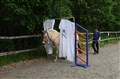 DSC06582.JPG