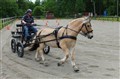 DSC06583.JPG