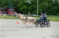 DSC06587.JPG