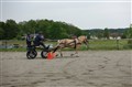 DSC06604.JPG
