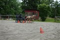 DSC06605.JPG