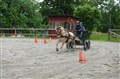 DSC06606.JPG