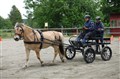 DSC06613.JPG