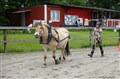 DSC06615.JPG