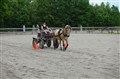 DSC06616.JPG
