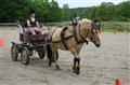 DSC06617.JPG