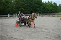 DSC06619.JPG