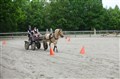 DSC06625.JPG