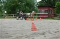 DSC06629.JPG