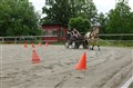 DSC06630.JPG