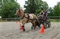 DSC06631.JPG